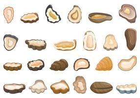 Oysters icons set cartoon vector. Seafood shell vector