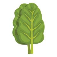 vector de dibujos animados de icono de acelga fresca. planta verde