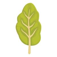 vector de dibujos animados de icono de acelga agrícola. planta verde