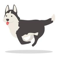 vector de dibujos animados de icono husky saltando. perro siberiano