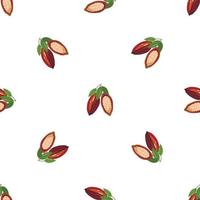 Cocoa fruit pattern seamless vector