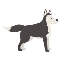 vector de dibujos animados de icono husky fuerte. perro siberiano