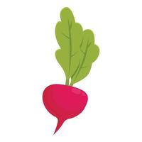vector de dibujos animados de icono de rábano de nutrición. color verde rojo