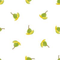 Durian fruit pattern seamless vector