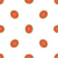 Top view watermelon pattern seamless vector