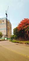 hermoso camino de curva a edificio de construcción con grúa y gran árbol de flores rojas o naranjas con fondo de cielo en el parque en estilo de color vintage. belleza de la naturaleza, cosa diferente y medio ambiente foto