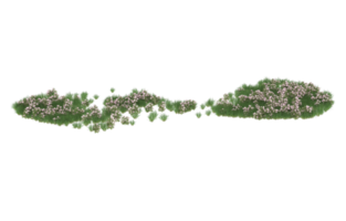 Realistic foliage isolated on transparent background. 3d rendering - illustration png