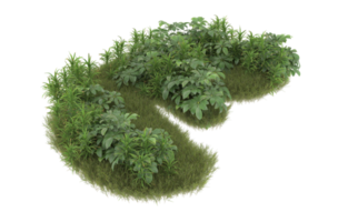 Realistic foliage isolated on transparent background. 3d rendering - illustration png