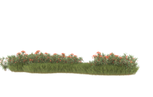 Realistic foliage isolated on transparent background. 3d rendering - illustration png