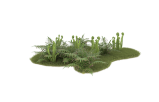 Realistic foliage isolated on transparent background. 3d rendering - illustration png