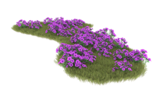 Realistic foliage isolated on transparent background. 3d rendering - illustration png