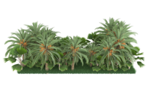 Palm trees isolated on transparent background. 3d rendering - illustration png