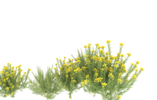 Realistic foliage isolated on transparent background. 3d rendering - illustration png