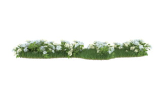 Realistic foliage isolated on transparent background. 3d rendering - illustration png