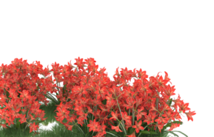 Realistic foliage isolated on transparent background. 3d rendering - illustration png