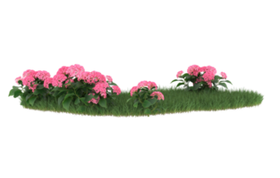 Realistic foliage isolated on transparent background. 3d rendering - illustration png