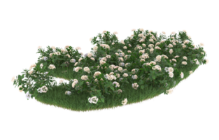 Realistic foliage isolated on transparent background. 3d rendering - illustration png