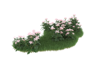 Realistic foliage isolated on transparent background. 3d rendering - illustration png