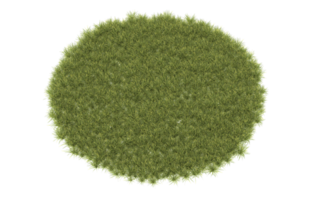 Realistic foliage isolated on transparent background. 3d rendering - illustration png