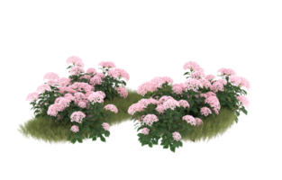 Realistic foliage isolated on transparent background. 3d rendering - illustration png