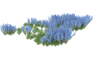 Realistic foliage isolated on transparent background. 3d rendering - illustration png