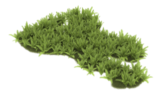 Realistic foliage isolated on transparent background. 3d rendering - illustration png