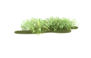 Realistic foliage isolated on transparent background. 3d rendering - illustration png