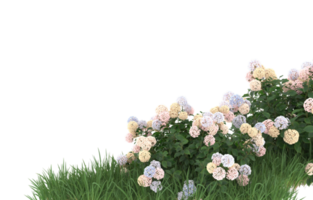 Realistic foliage isolated on transparent background. 3d rendering - illustration png