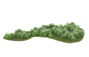 Realistic foliage isolated on transparent background. 3d rendering - illustration png