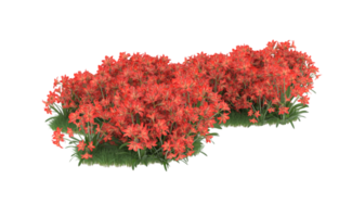Realistic foliage isolated on transparent background. 3d rendering - illustration png