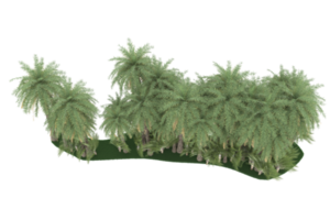 Palm trees isolated on transparent background. 3d rendering - illustration png