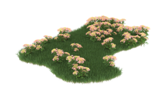 Realistic foliage isolated on transparent background. 3d rendering - illustration png