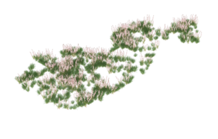 Realistic foliage isolated on transparent background. 3d rendering - illustration png