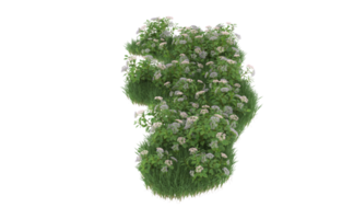 Realistic foliage isolated on transparent background. 3d rendering - illustration png