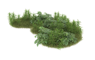 Realistic foliage isolated on transparent background. 3d rendering - illustration png