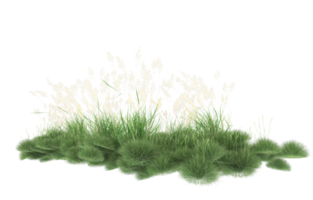 Realistic foliage isolated on transparent background. 3d rendering - illustration png