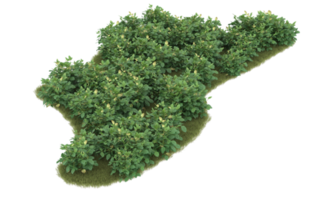 Realistic foliage isolated on transparent background. 3d rendering - illustration png