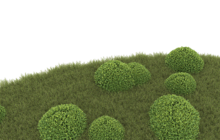 Realistic foliage isolated on transparent background. 3d rendering - illustration png
