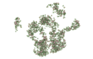 Realistic foliage isolated on transparent background. 3d rendering - illustration png