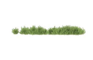 Realistic foliage isolated on transparent background. 3d rendering - illustration png