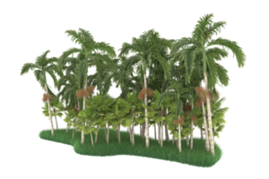 Palm trees isolated on transparent background. 3d rendering - illustration png