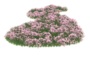 Realistic foliage isolated on transparent background. 3d rendering - illustration png