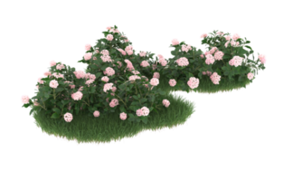 Realistic foliage isolated on transparent background. 3d rendering - illustration png