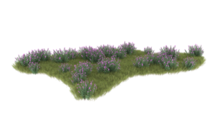 Realistic foliage isolated on transparent background. 3d rendering - illustration png