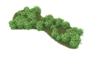 Realistic foliage isolated on transparent background. 3d rendering - illustration png