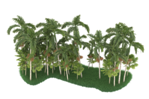 Palm trees isolated on transparent background. 3d rendering - illustration png