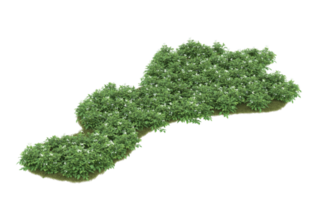 Realistic foliage isolated on transparent background. 3d rendering - illustration png