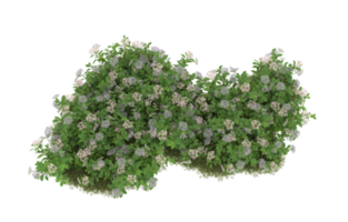 Realistic foliage isolated on transparent background. 3d rendering - illustration png