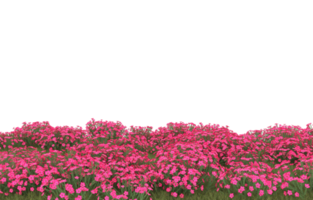 Realistic foliage isolated on transparent background. 3d rendering - illustration png