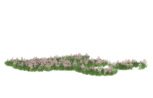 Realistic foliage isolated on transparent background. 3d rendering - illustration png